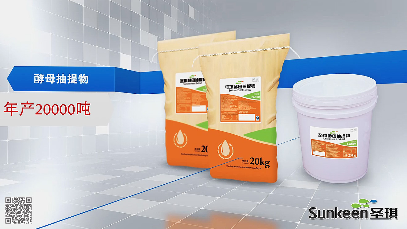 圣琪年度項目包裝整體設(shè)計